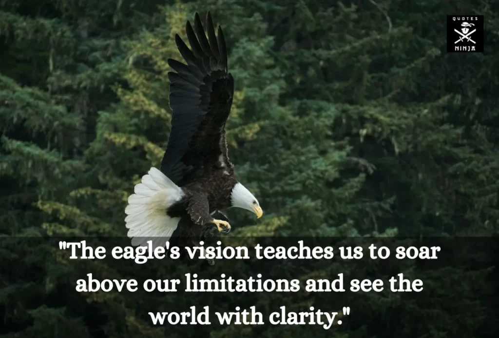 eagle quotes 1