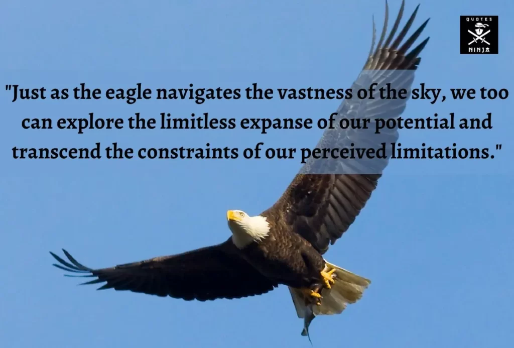 eagle quotes 10
