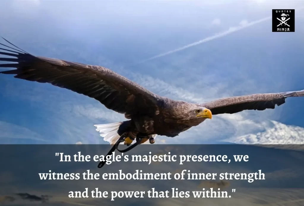 eagle quotes 11