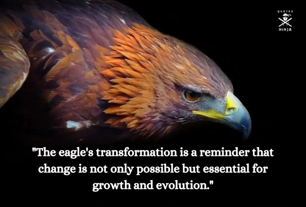 eagle quotes 3