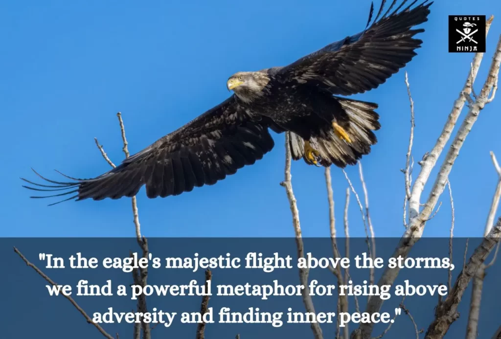 eagle quotes 5