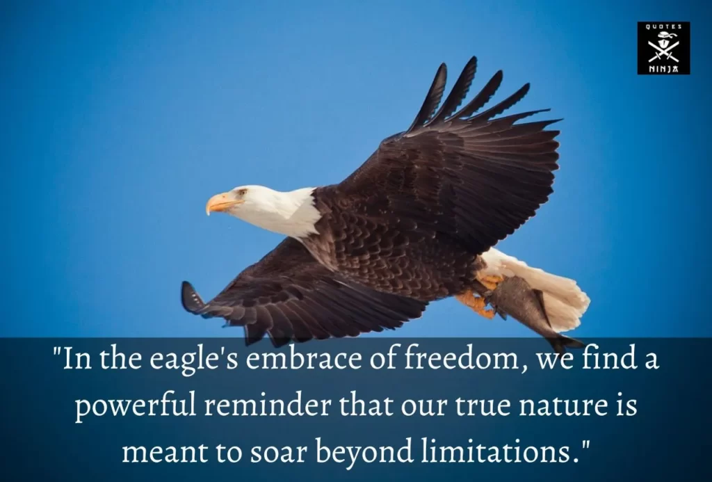 eagle quotes 7