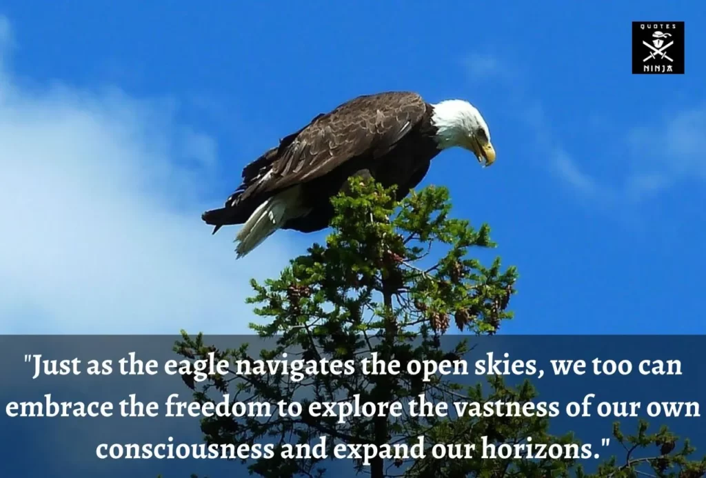 eagle quotes 8