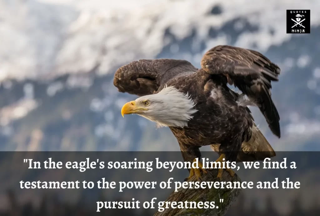 eagle quotes 9