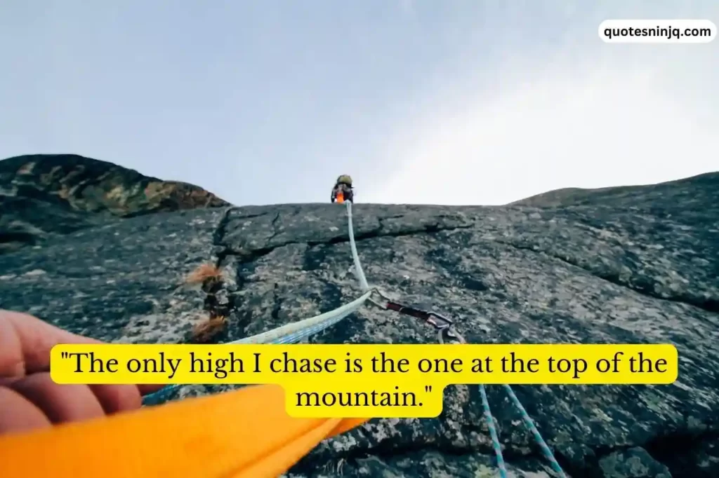 Mountain Climbing Quotes Drugs