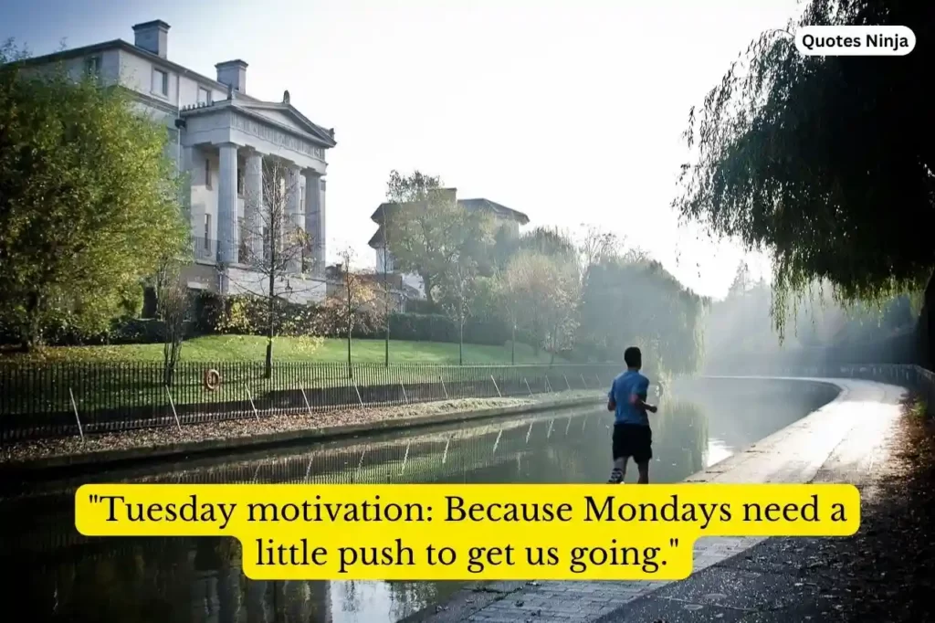 Tuesday Motivation Funny