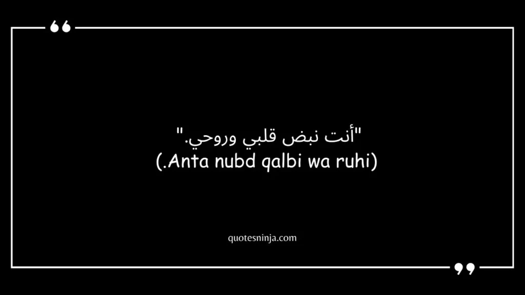 Arabic Love Quotes With English Translation For Him