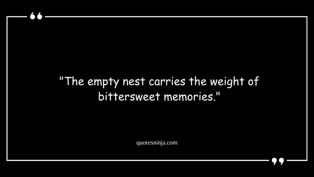 Sad Empty Nest Quotes