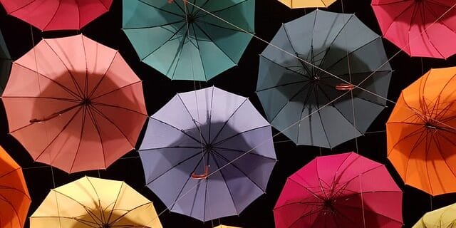 Equality: Multicolor Umbrellas