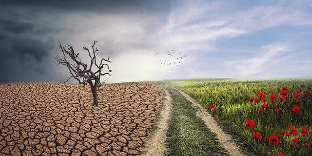 Due to change, journey from drought to greenery.