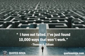 I have not failed: The Maze