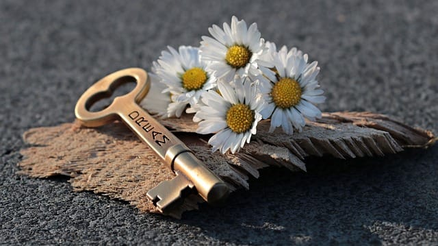 Don't count the days: Jasmin Flower with Key