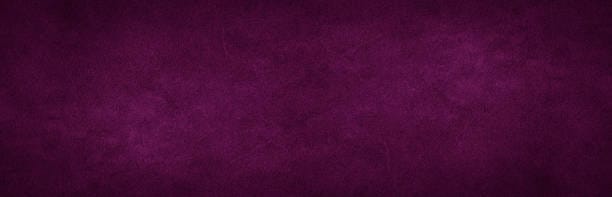 The future belongs to those: Purple colored Banner Panorama