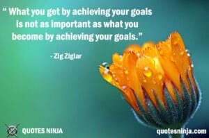 What you get by achieving: Marigold Flower