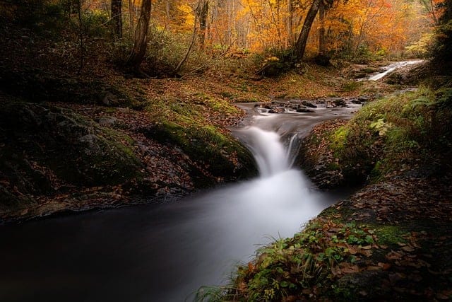 It is not length of life, but depth of life. River in a valley