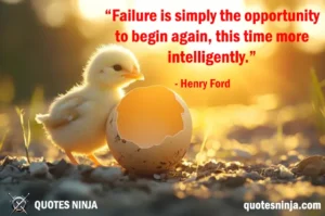 A cracked egg with a new chick emerging