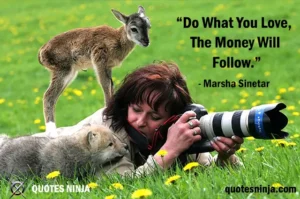 Sigma Quotes / Quotes Ninja: Wildlife Photographer, Fawn on her back.