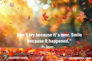 autumn leaves falling sunny day