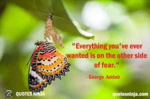 A Butterfly Emerging from a Cocoon