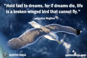 seagull falling due to broken wing