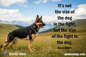 German Shepard Dog in Mountain Field