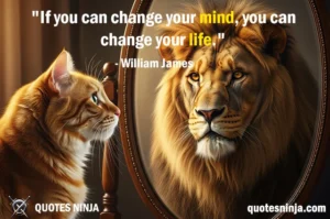 Cat looking at her mirror image as lion