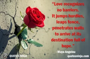 A vibrant rose breaking through a cracked, grey concrete wall