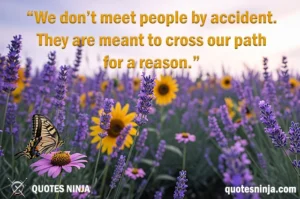 Beautiful butterfly landing on blooming flower field