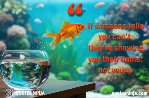 Gold fish Jump from small pot to large aquarium