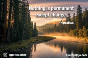 A river in the middle of dense forest