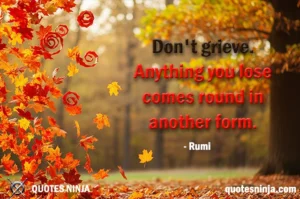 Falling Autumn leaves