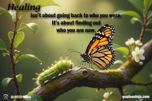 A caterpillar and butterfly on the same branch