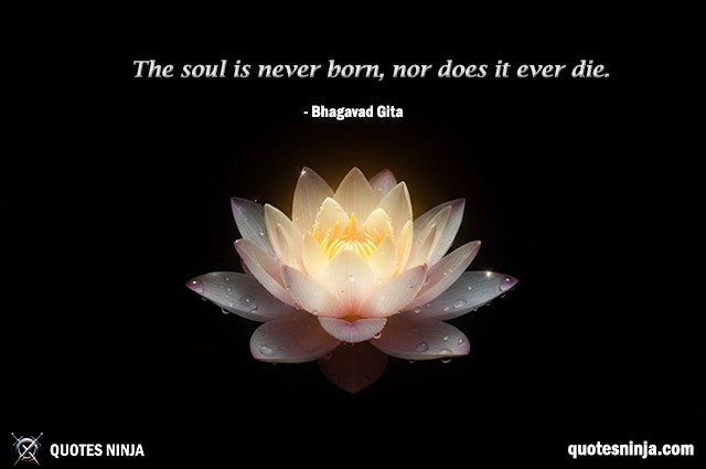 A glowing lotus blooming in the middle of darkness